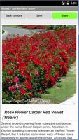 3 Schermata Roses - garden and grow