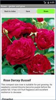 1 Schermata Roses - garden and grow