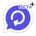 Beta updater + 아이콘