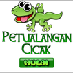 Petualangan Cicak