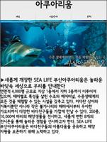 Busan Travel - 부산여행 screenshot 3