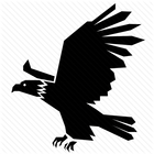 Eagle eye icône