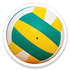 ikon Beach Volleyball Match Log