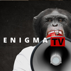 Enigma TV आइकन