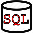 SQL Server Interview Practice icône