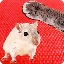 Toy For Cat Mouse Joke APK