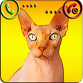 Fake Call Cat Prank