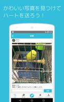 インコの写真や動画でつながるペットsns　セキセイの木 screenshot 1