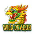 Wild Dragon