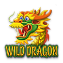 Wild Dragon APK