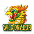 Wild Dragon-icoon