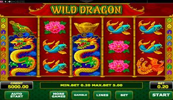 Wild Dragon-poster