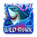 Wild Shark