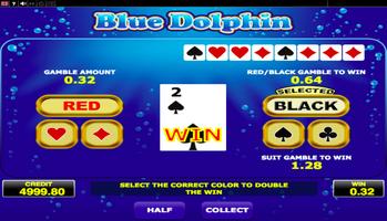 Blue Dolphin screenshot 2