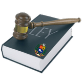 Ley Constitución de Venezuela ícone