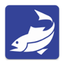 Karelia Fishing APK