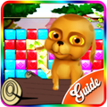 Best Guide Pet Rescue Saga