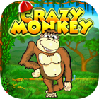 Crazy Monkey icône