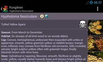 Fungitron - mushroom guide ảnh chụp màn hình 3
