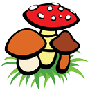 HungiFungi - a gombahatározó-APK