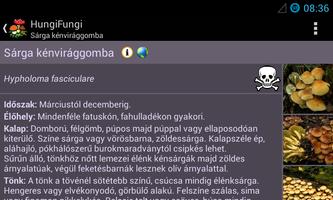 HungiFungi - a gombahatározó screenshot 3