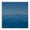海洋浏览器 APK