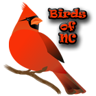 Backyard Birds of NC icono