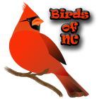 Backyard Birds of NC アイコン