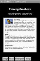 برنامه‌نما Backyard Birds of NC عکس از صفحه