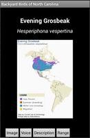 Backyard Birds of NC screenshot 3