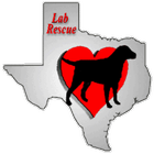 Heart of Texas Labrador Rescue icône