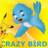 Crayz Bird - Nyan Pikachu