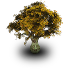 Uganda Tree Species Finder icon