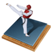 Taekwondo Bible