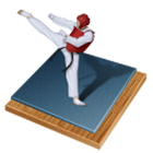 Taekwondo Bible آئیکن