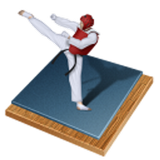 Taekwondo Bible ikona