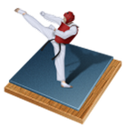 Taekwondo Bible icône