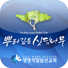 뿌리깊은 싯딤나무 أيقونة