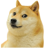 Doge vs Nyan - La guerra de los memes