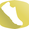Paced APK