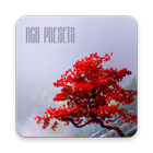 RGB presets for KLWP icon