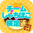 チームしゃちほこ検定通 APK
