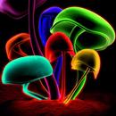 Nice Colorful Wallpapers APK