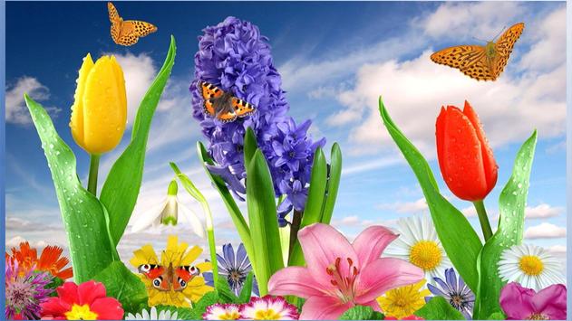 Nice Flower Wallpapers APK Download - Free Entertainment ...