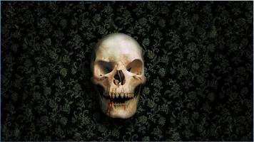 Nice Skull Wallpapers capture d'écran 3