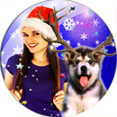 Christmas Photo Jokes APK