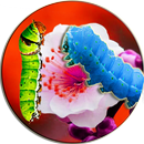 Caterpillar In Photo Simulator APK