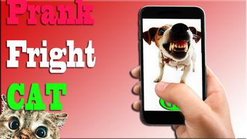 Scare Cats Sound Cat Prank 截图 3
