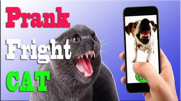 Scare Cats Sound Cat Prank 海报