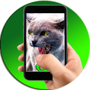 Scare Dogs Simulator Joke APK